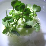 Cachaça granité with cucumber marmalade & green apple