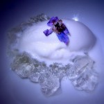 Rice cream with sake gelee and borage flower