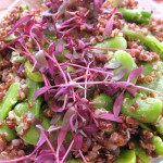 Quinoa with peas and favas