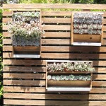 Tiato garden detail
