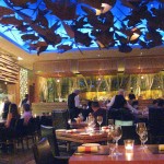 Colorful decor with the open kitchen on the left side