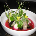 Amberjack cured with lime leaf, radishes, charred cucumber and pine needle