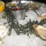 Oysters