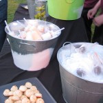 Florentino Artisan Ice Cream