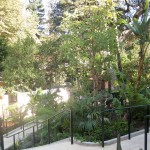 Lush gardens