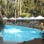 The hotel's oval-shaped swimming pool
