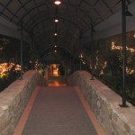 The bridge