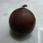 S'Mores Bomb