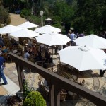 Premium wines, premium people and premium barbecue
