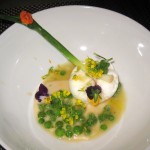 Schaner Farms duck egg