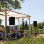 Music, grapeside