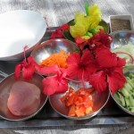 Ingredients for Tahitian raw fish