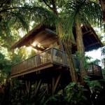 Dorado Beach, A Ritz-Carlton Reserve spa treehouse
