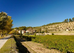 Château Miraval in Provence