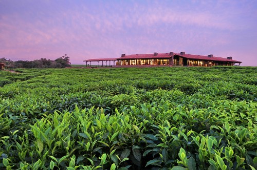 Nyungwe Forest Lodge Exterior