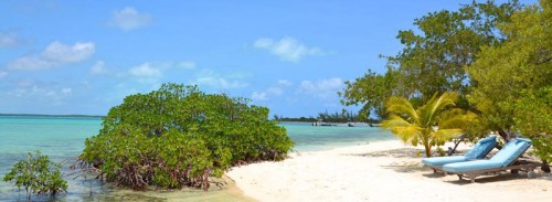 A beach on Andros Island in The Bahamas