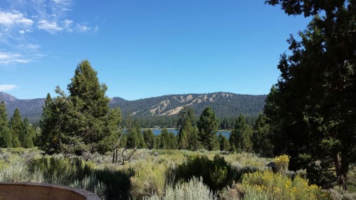 Big Bear Lake, CA, boasts the highest altitude vineyard in the northern hemisphere