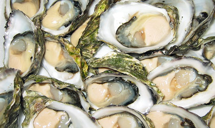Oysters on the Halfshell