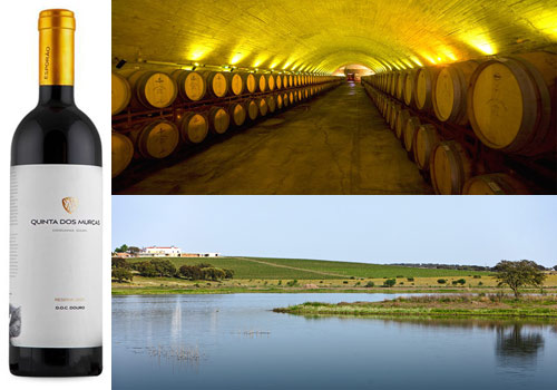 Quinta Dos Murças winery in northern Portugal