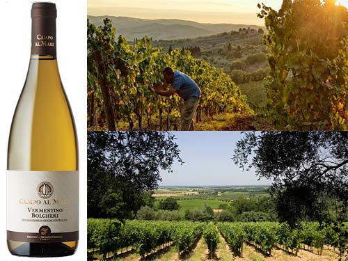 Tenuta Campo al Mare 2012 Bolgheri DOC Vermentino