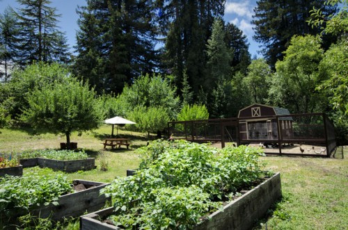 Farm-fresh ingredients at the Applewood Inn vegetable garden and chicken coop (Photo credit: Applewood Inn)