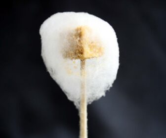 Chef José Andrés foie gras cotton candy