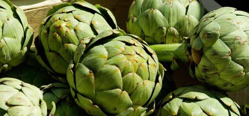 Artichoke