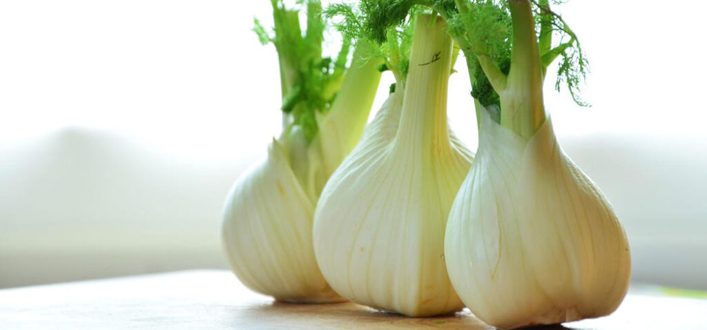 Fennel