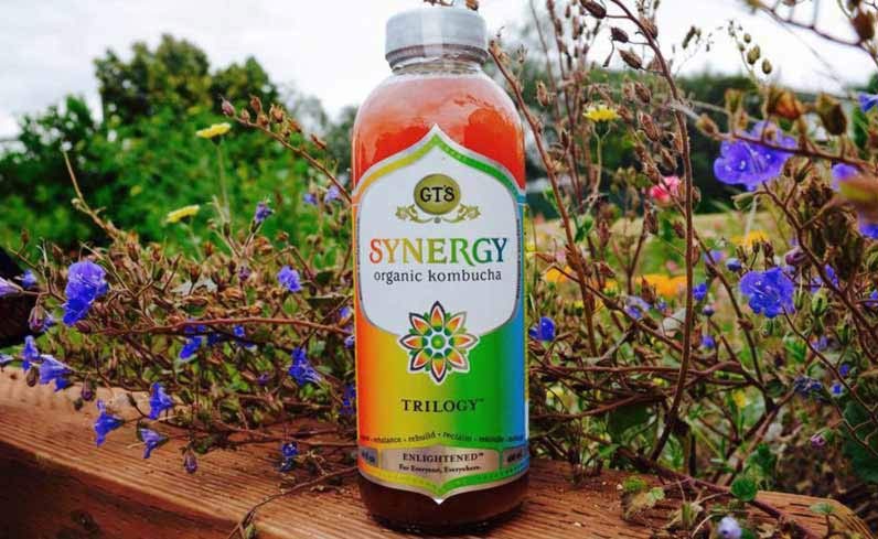 GT's Kombucha