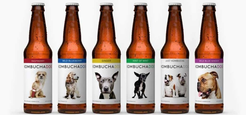 Kombucha Dog