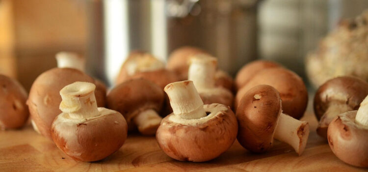 Mushrooms contain more antioxidants than many vegetables
