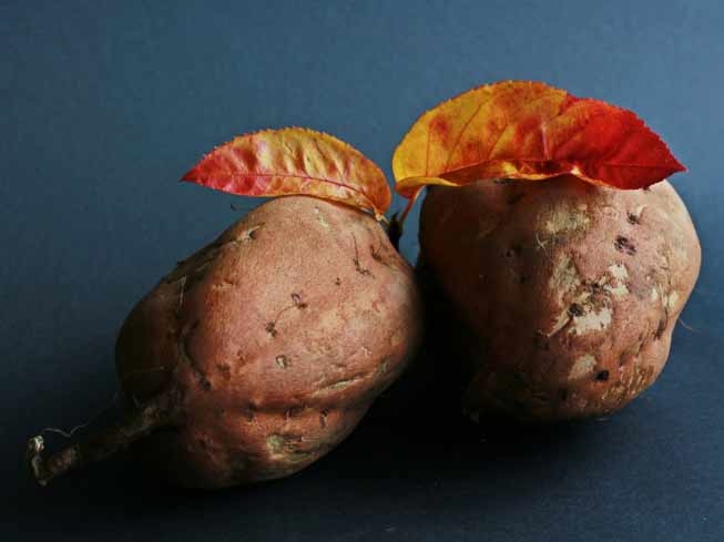 Sweet potatoes are rich in Vitamin A