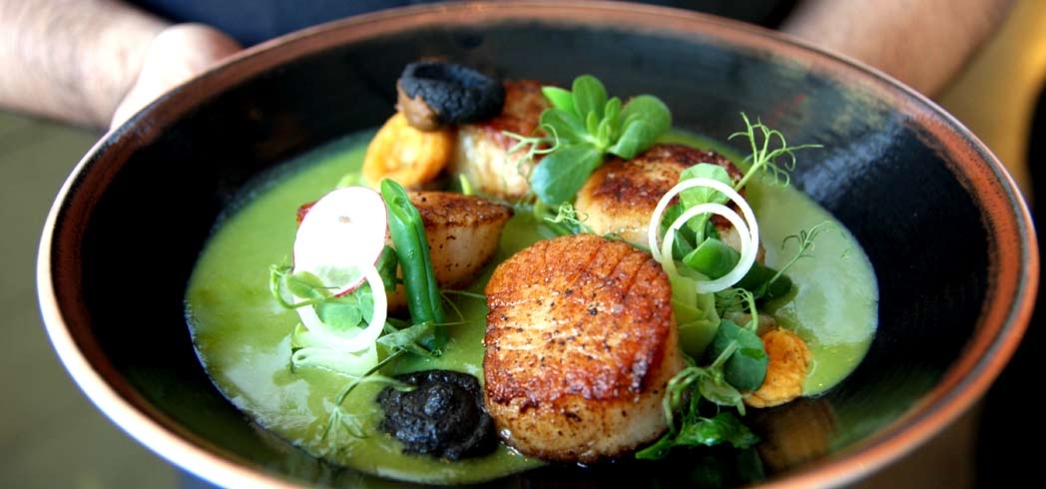 Xochi, Houston