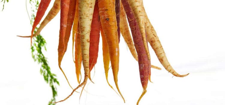 Diets rich in carotene are also thought to reduce the risk of certain cancers