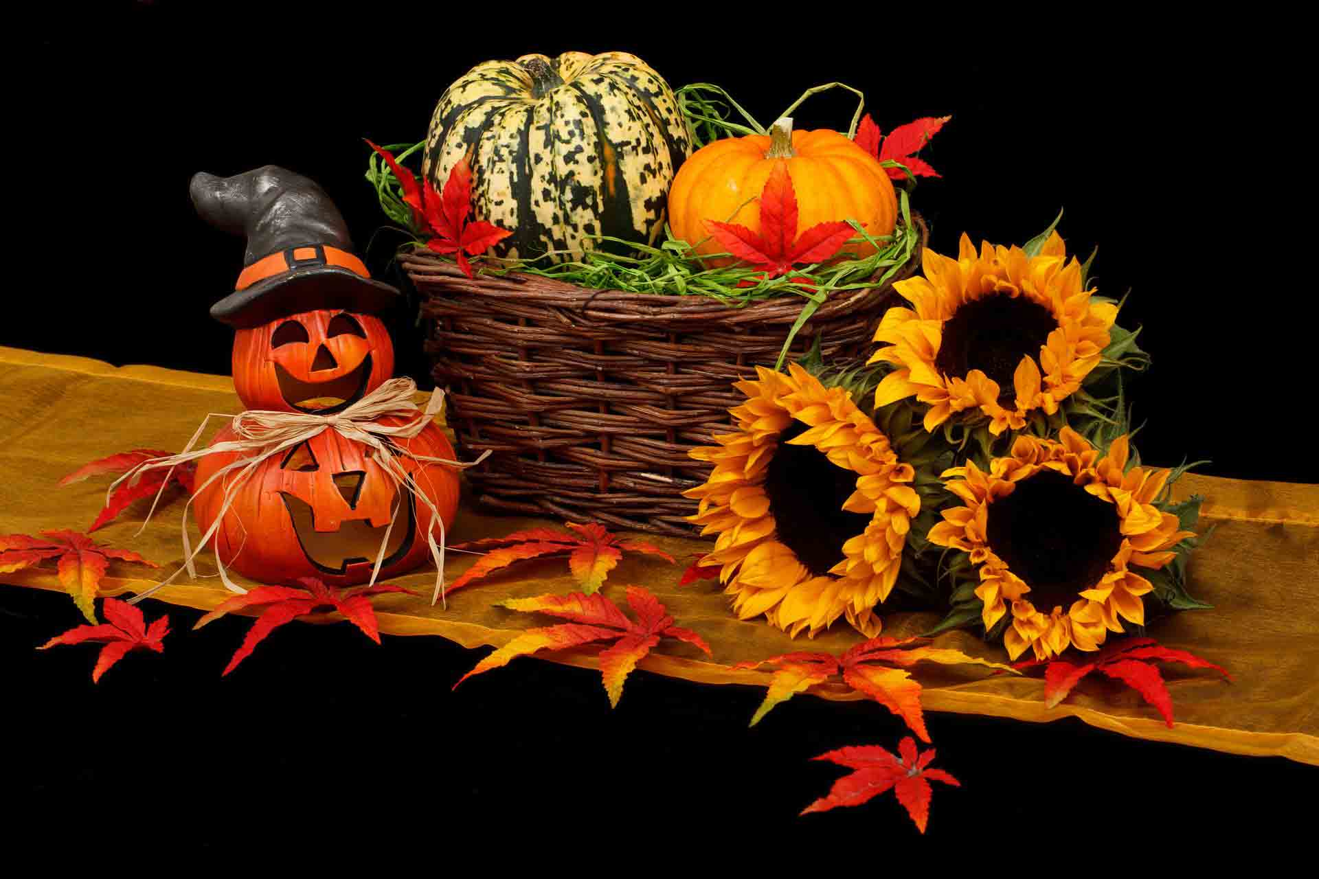 Guide to Halloween