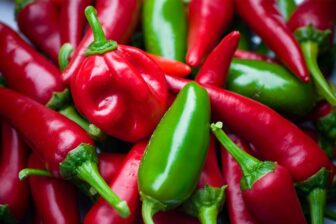 latin inspired supermarket foods