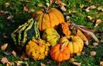 Pumpkin health benefits