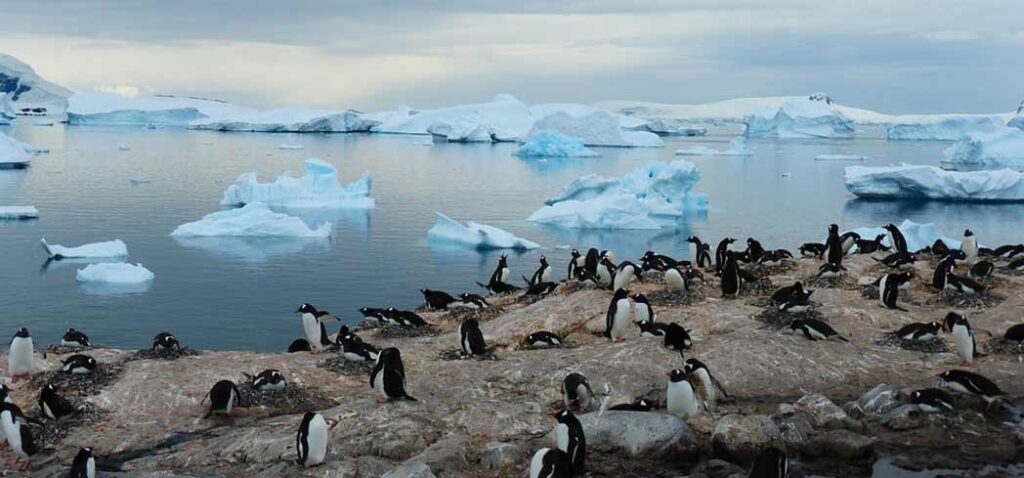 Antarctica