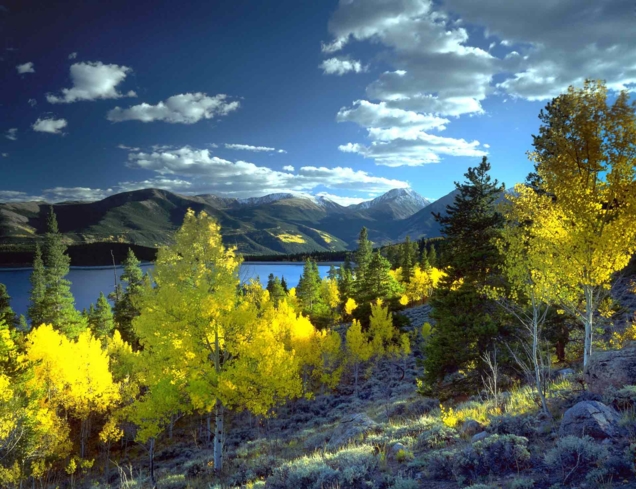 Aspen