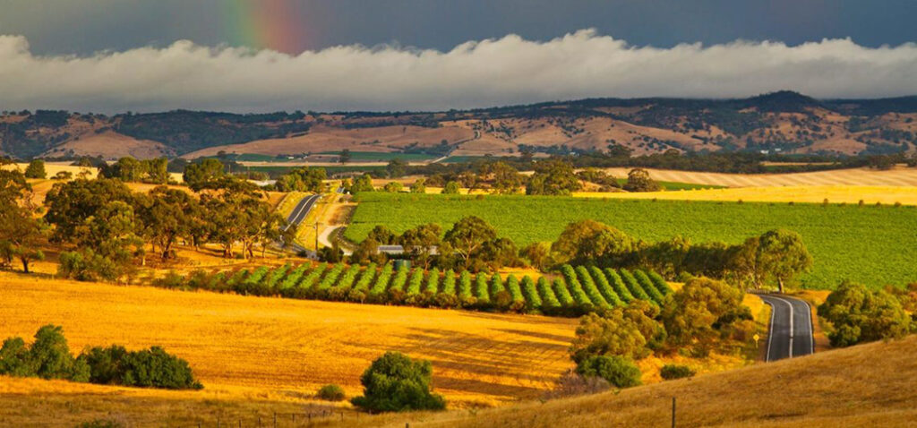 Barossa Valley Australia Wine Route