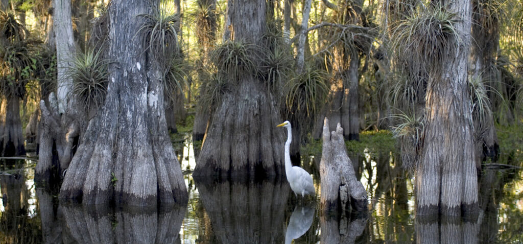 Everglades National Park