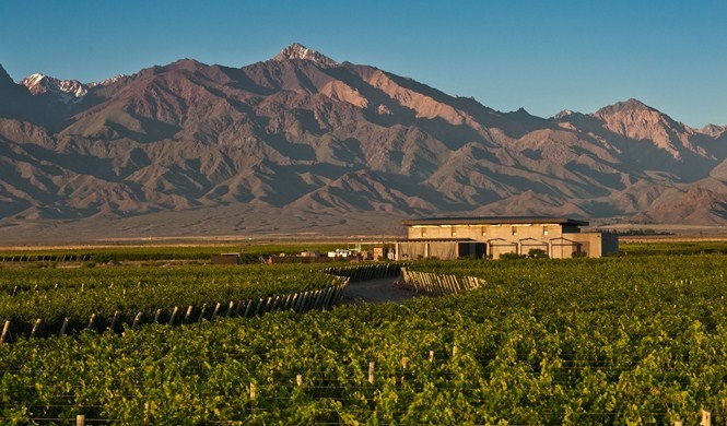 Mendoza Wine Route