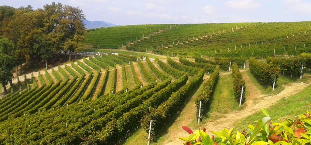 Tuscany Strada del Vino