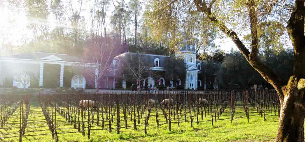 Wine Glossary E