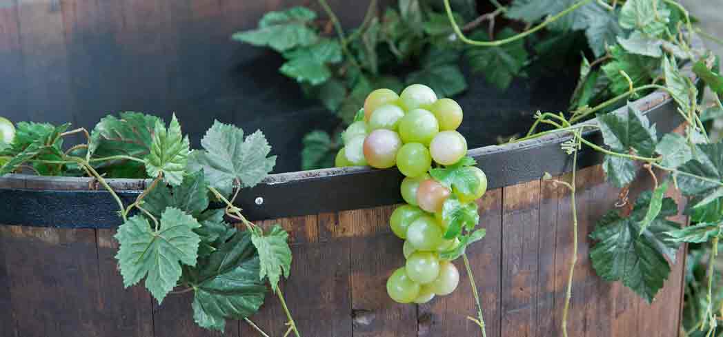 Wine Glossary P