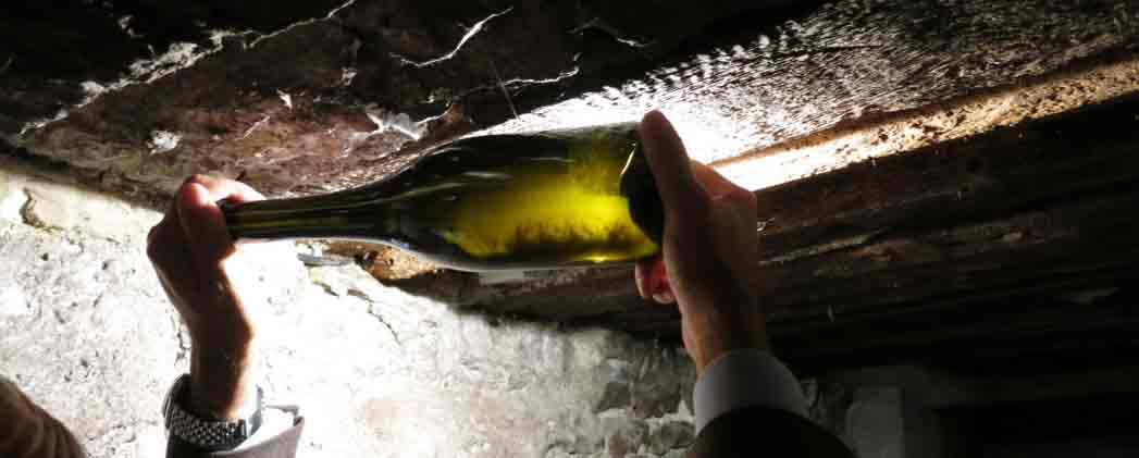 Wine Glossary Y