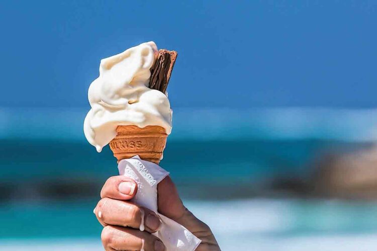 Best Ice Cream Frozen yogurt