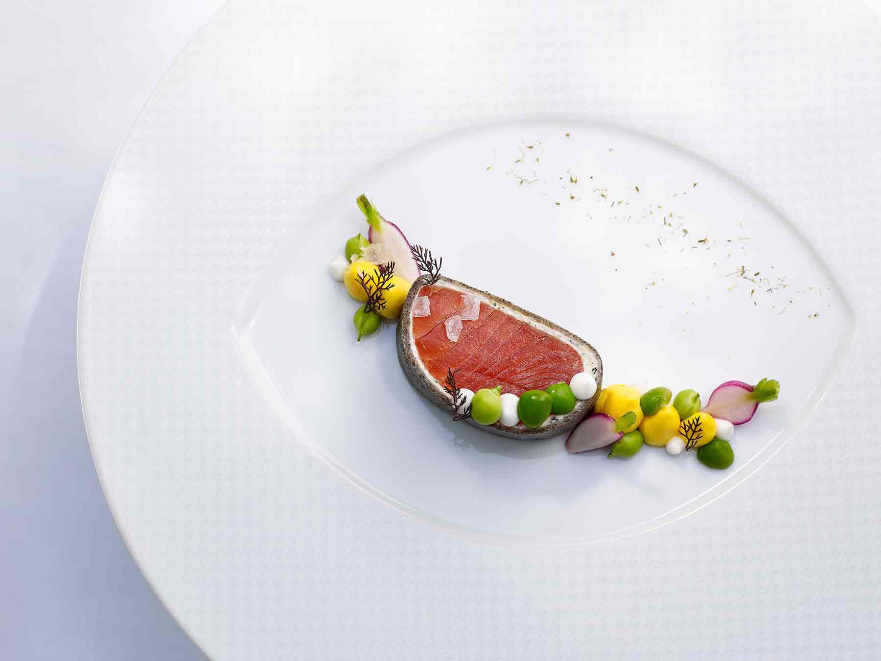 Wild king salmon The French Laundry