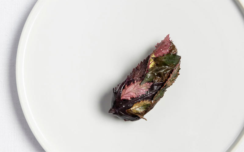 Eleven Madison Park seared foie gras (c) Evan Sung