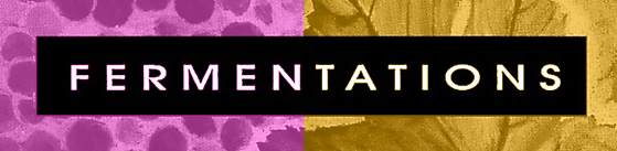 Fermentations Wine store
